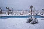 winterpool.gif