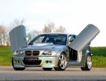 hamann-las-vegas-wings-434.jpg